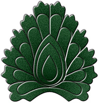 szucsrozsa.jpg