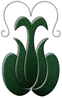 tulipan.jpg