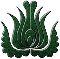 tulipan2.jpg